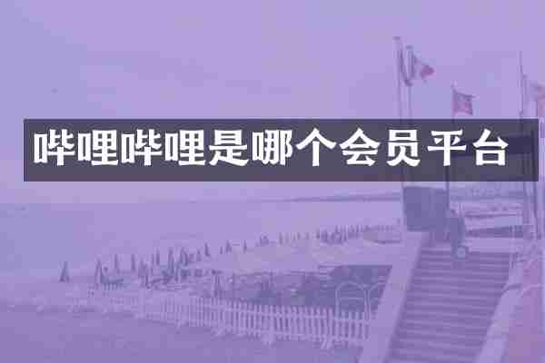 哔哩哔哩是哪个会员平台