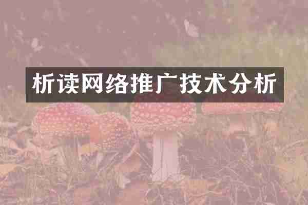 析读网络推广技术分析