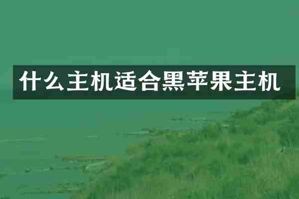 什么主机适合黑苹果主机