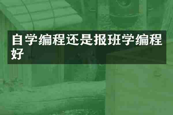 自学编程还是报班学编程好