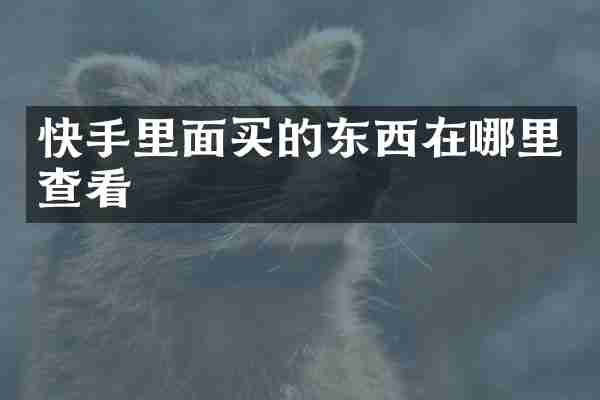 快手里面买的东西在哪里查看