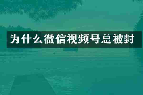 为什么微信视频号总被封