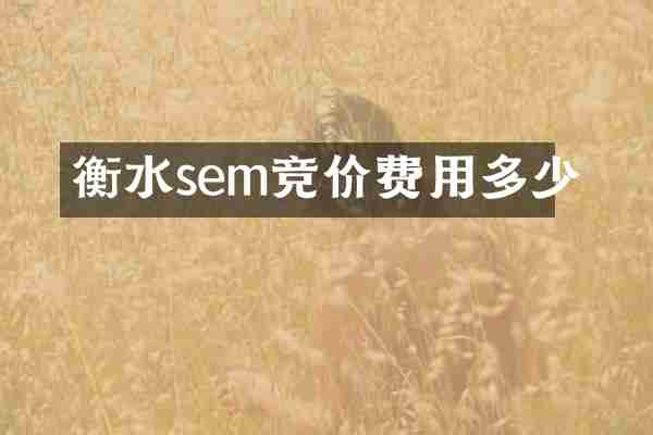 衡水sem竞价费用多少