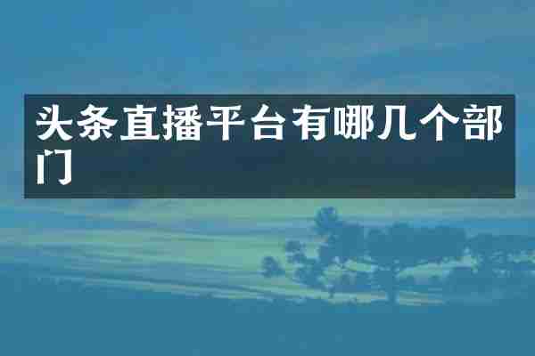 头条直播平台有哪几个部门