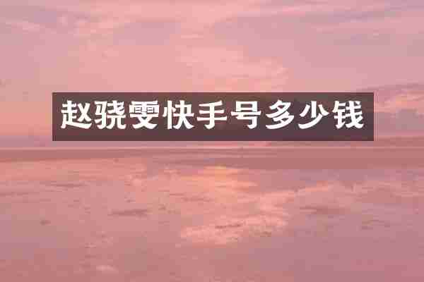赵骁雯快手号多少钱