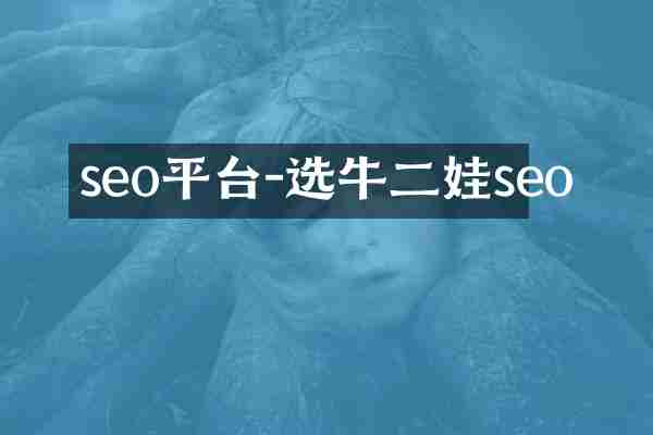 seo平台-选牛二娃seo