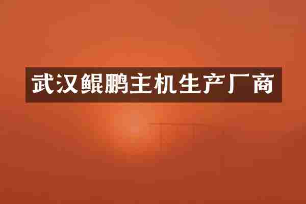 武汉鲲鹏主机生产厂商