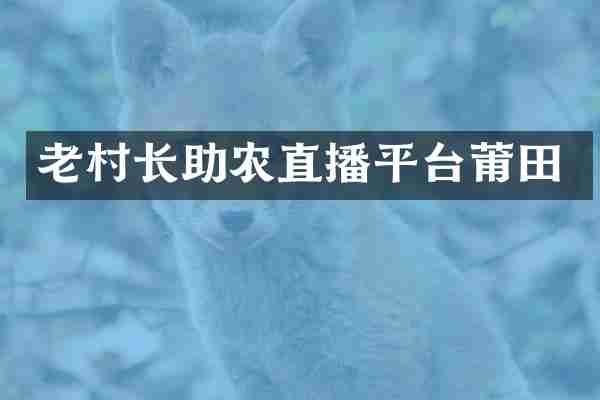 老村长助农直播平台莆田