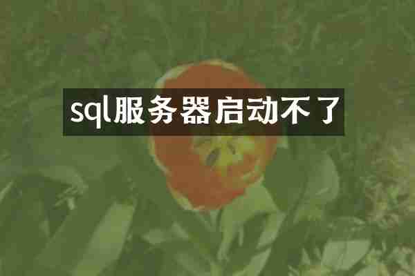 sql服务器启动不了