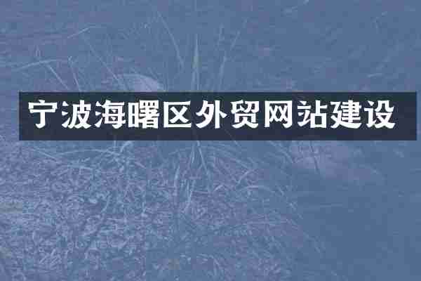 宁波海曙区外贸网站建设