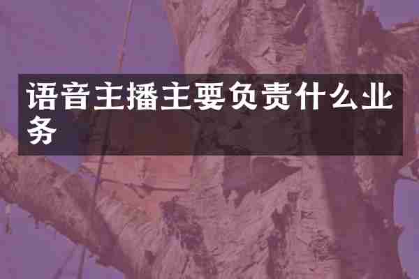 语音主播主要负责什么业务
