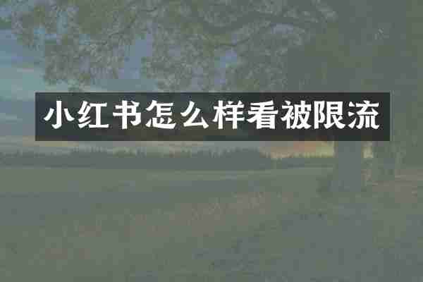 小红书怎么样看被限流