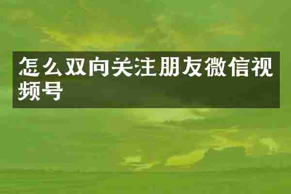 怎么双向关注朋友微信视频号