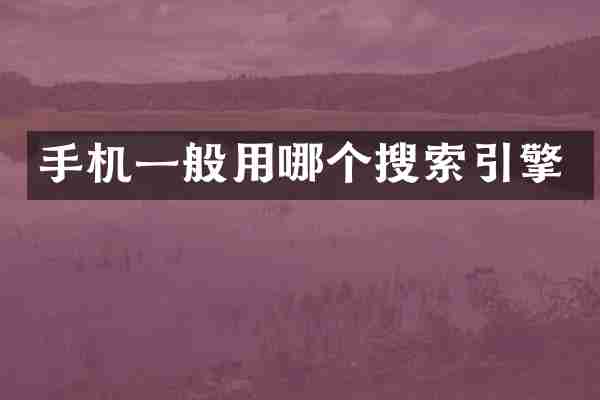 手机一般用哪个搜索引擎