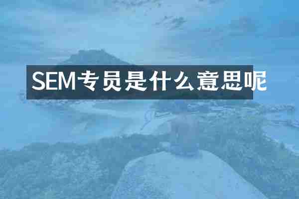 SEM专员是什么意思呢