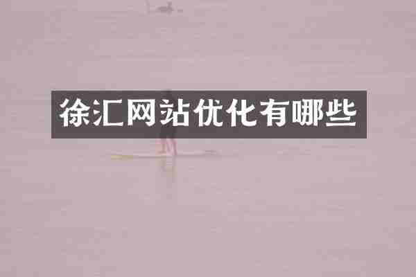 徐汇网站优化有哪些