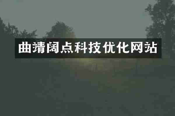 曲靖阔点科技优化网站