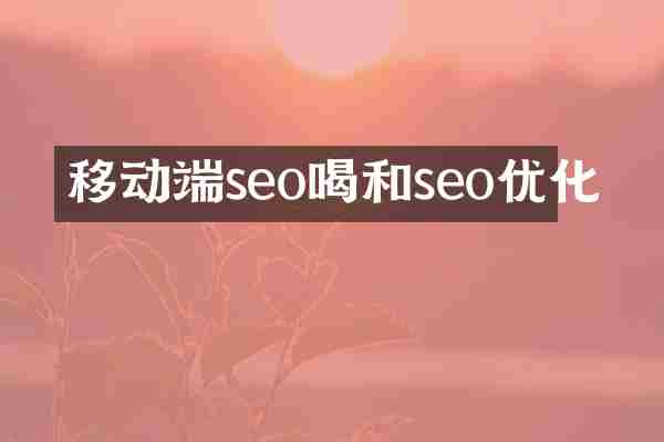 移动端seo喝和seo优化