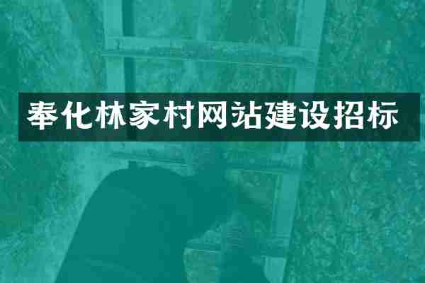 奉化林家村网站建设招标