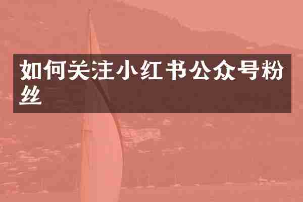 如何关注小红书公众号粉丝