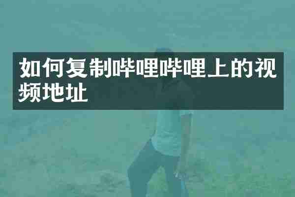 如何复制哔哩哔哩上的视频地址