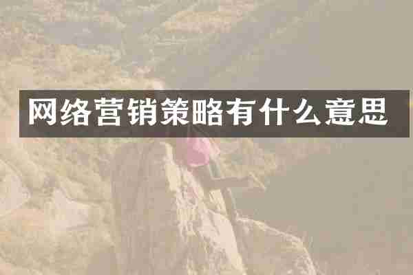 网络营销策略有什么意思