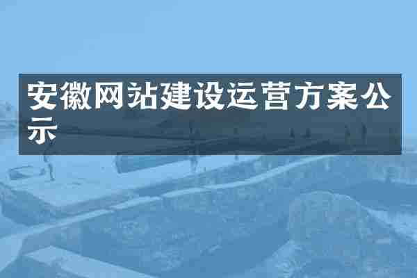 安徽网站建设运营方案公示
