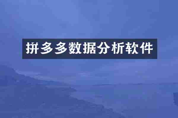 拼多多数据分析软件