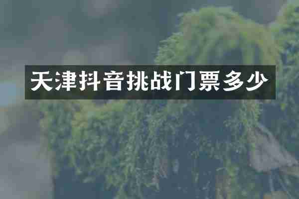 天津抖音挑战门票多少