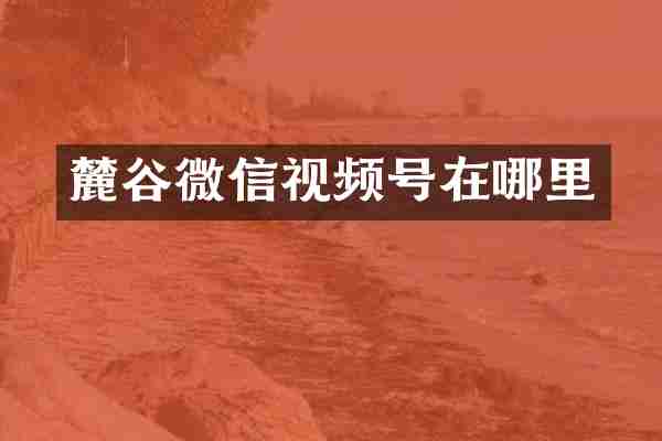 麓谷微信视频号在哪里