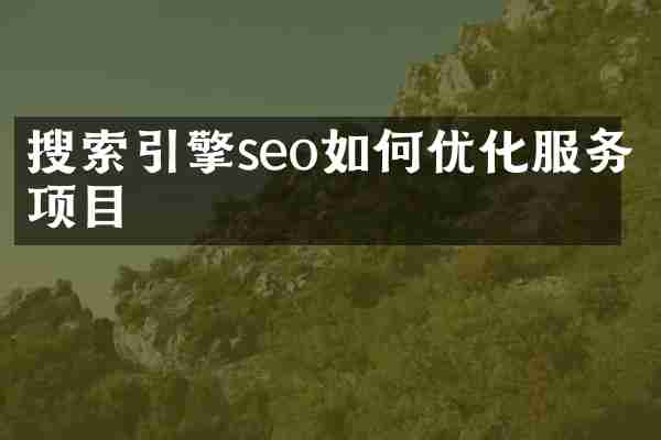 搜索引擎seo如何优化服务项目