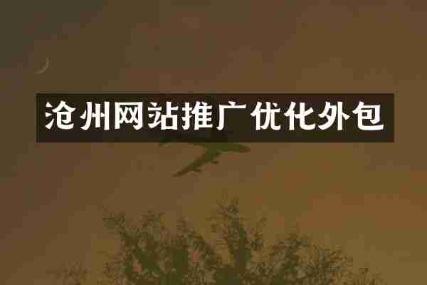沧州网站推广优化外包