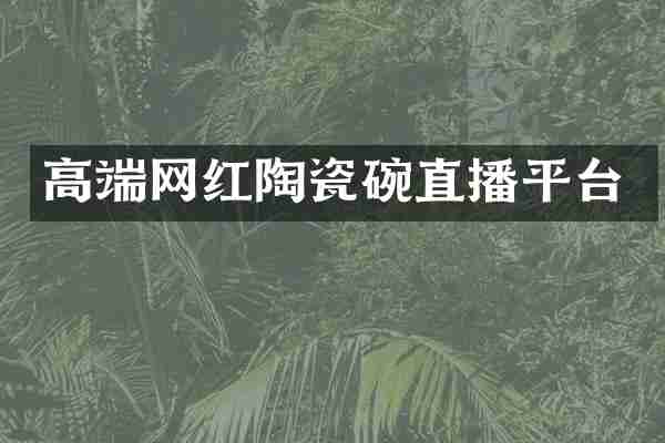 高端网红陶瓷碗直播平台