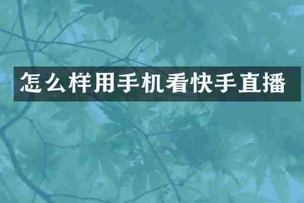 怎么样用手机看快手直播