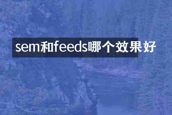 sem和feeds哪个效果好