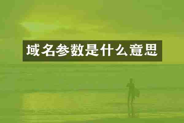 域名参数是什么意思