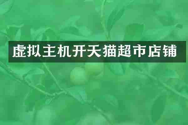 虚拟主机开天猫超市店铺