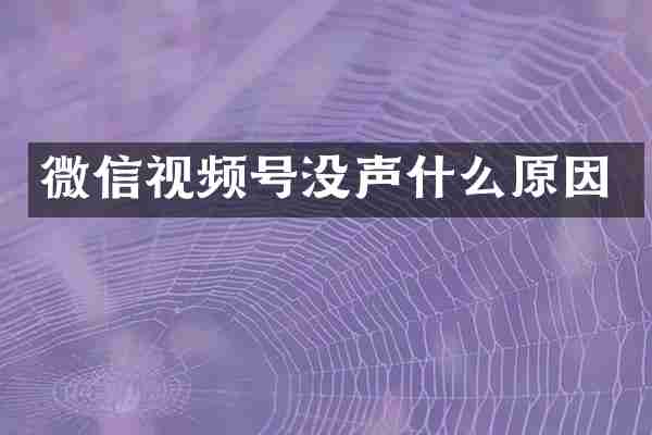 微信视频号没声什么原因