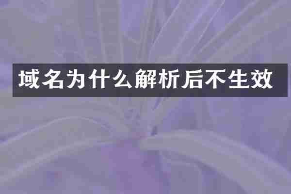 域名为什么解析后不生效