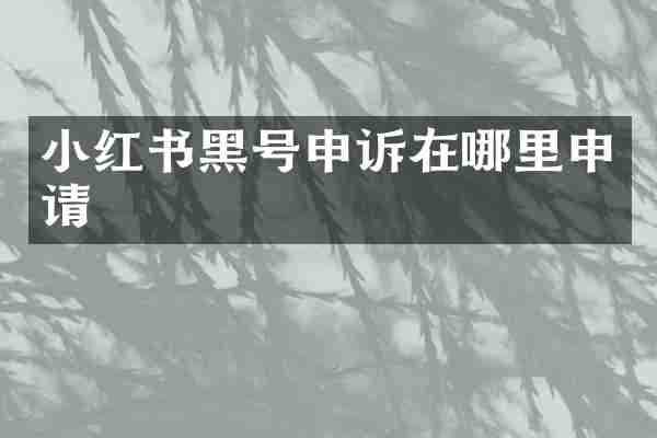 小红书黑号申诉在哪里申请