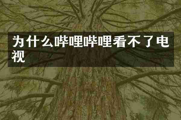 为什么哔哩哔哩看不了电视