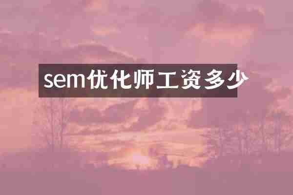 sem优化师工资多少