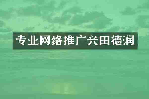 专业网络推广兴田德润