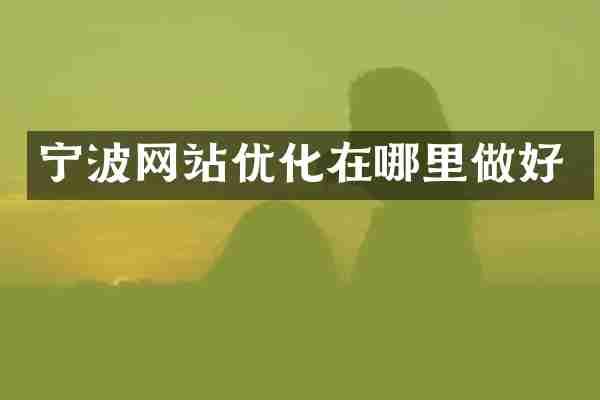 宁波网站优化在哪里做好