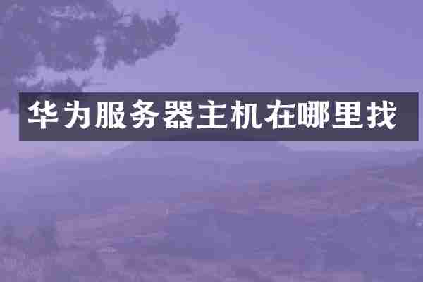 华为服务器主机在哪里找