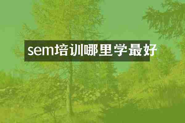 sem培训哪里学最好