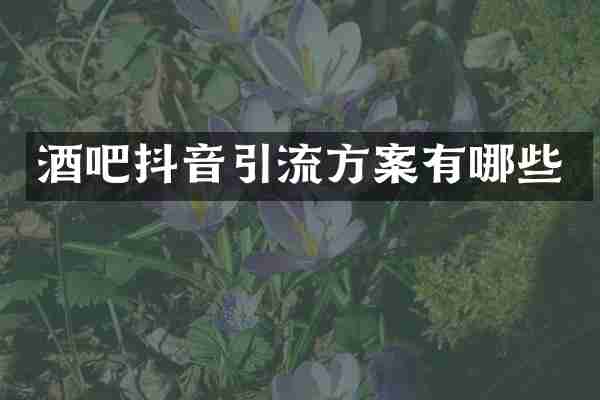 酒吧抖音引流方案有哪些