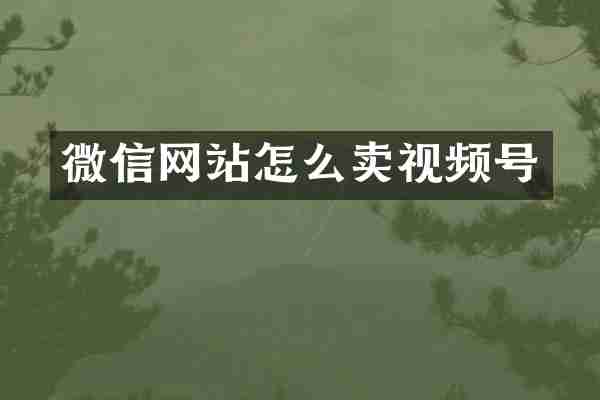微信网站怎么卖视频号