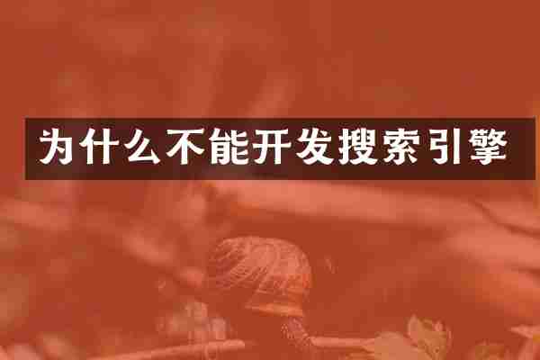 为什么不能开发搜索引擎
