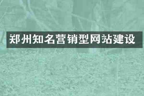 郑州知名营销型网站建设
